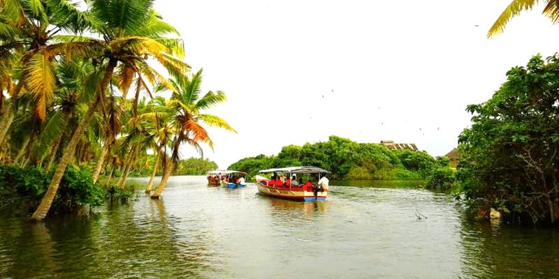 Poovar-backwaters.png